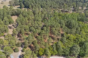 155 Harmony Ln, Southern Pines, NC 28387 - Photo 64