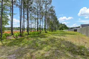 402 Reynolds Ct, Sneads Ferry, NC 28460 - Photo 40