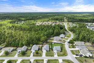 402 Blue Pennant Ct, Sneads Ferry, NC 28460 - Photo 34