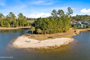 1326 Star Grass Wy, Leland, NC 28451 - Photo 48