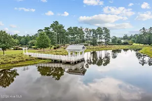 1326 Star Grass Wy, Leland, NC 28451 - Photo 42