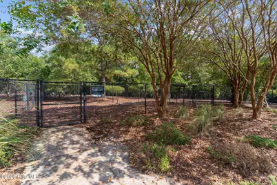 1326 Star Grass Way, Leland, NC 28451 - Photo 58