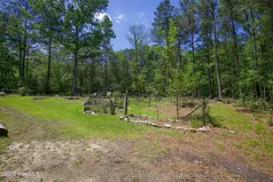 168 Riverview Dr, Vass, NC 28394 - Photo 48