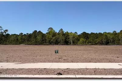 774 Harper Acres Lane, Southport, NC 28461 - Photo 8