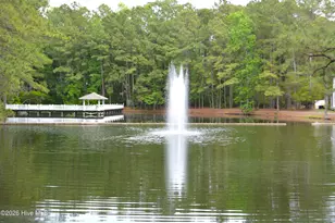 9103 Devaun Park Blvd, Calabash, NC 28467 - Photo 20