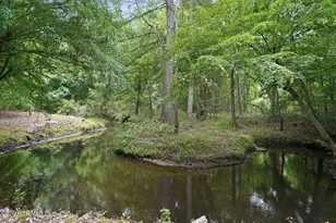 6644 Turkey Chase Rd, Battleboro, NC 27809 - Photo 66