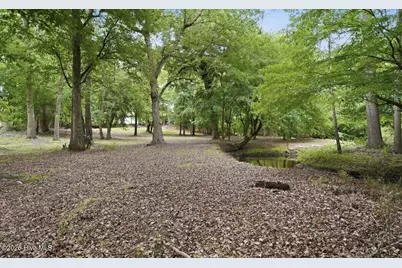 6644 Turkey Chase Road, Battleboro, NC 27809 - Photo 64