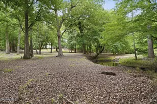 6644 Turkey Chase Rd, Battleboro, NC 27809 - Photo 64