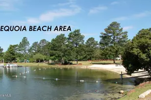 129 Sunset Way, Seven Lakes, NC 27376 - Photo 40
