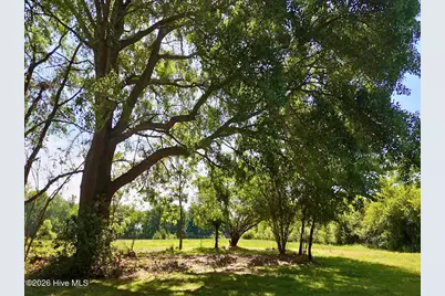 0 Old Chinquapin Road, Beulaville, NC 28518 - Photo 24