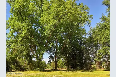0 Old Chinquapin Road, Beulaville, NC 28518 - Photo 22
