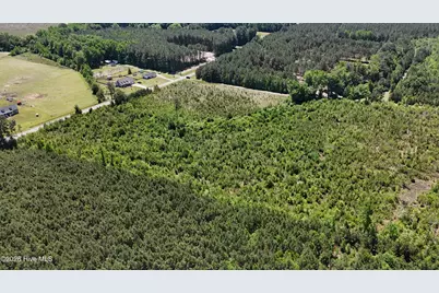 0 Indian Hill Road, Willard, NC 28478 - Photo 6
