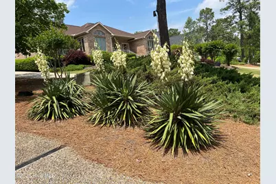 15 Shenecossett Lane, Pinehurst, NC 28374 - Photo 42