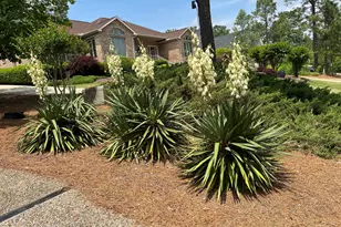 15 Shenecossett Ln, Pinehurst, NC 28374 - Photo 42
