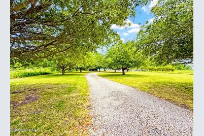 6386 Piney Woods Road, Fairfield, NC 27826 - Photo 2