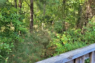 356 Broadmeade Dr, Southern Pines, NC 28387 - Photo 26