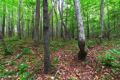 000 Macon-Embro Road, Macon, NC 27551 - Photo 20