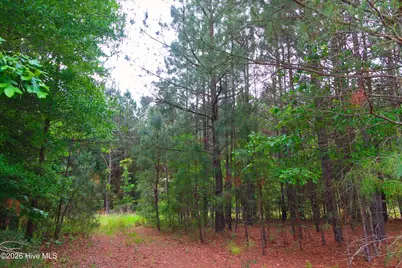 000 Macon-Embro Road, Macon, NC 27551 - Photo 16