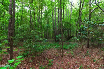 000 Macon-Embro Road, Macon, NC 27551 - Photo 6