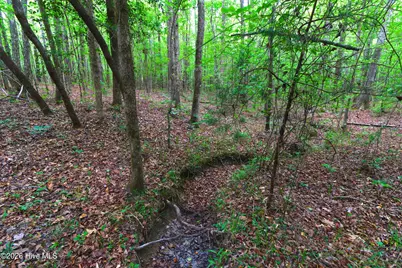 000 Macon-Embro Road, Macon, NC 27551 - Photo 10