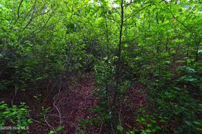 000 Macon-Embro Road, Macon, NC 27551 - Photo 18