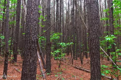 000 Macon-Embro Road, Macon, NC 27551 - Photo 8