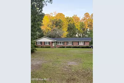 156 Narrow Gap Road, Riegelwood, NC 28456 - Photo 2