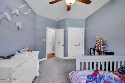 223 Royal Tern Drive, Sneads Ferry, NC 28460 - Photo 16