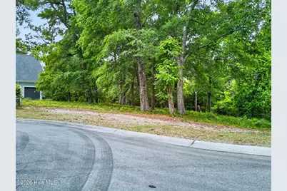 207 Joshuas Way, Southport, NC 28461 - Photo 18