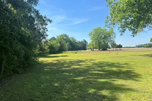 183 Nc 124 W, Macclesfield, NC 27852 - Photo 46