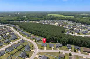 115 Snipe Ct, Raeford, NC 28376 - Photo 32