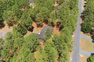 126 Edgewater Dr, Seven Lakes, NC 27376 - Photo 44