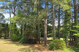 1140 Tart Rd, Clarkton, NC 28433 - Photo 24