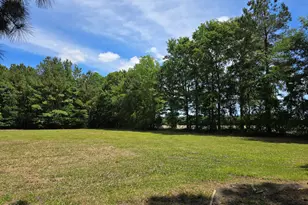 1140 Tart Rd, Clarkton, NC 28433 - Photo 22