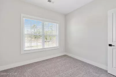146 S Umbrella Palm Drive, Hampstead, NC 28443 - Photo 14