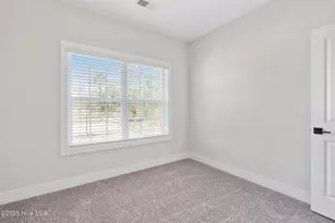146 S Umbrella Palm Dr, Hampstead, NC 28443 - Photo 14
