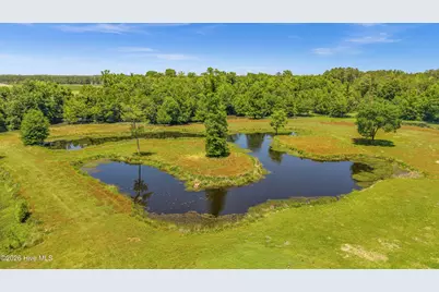 201 Winding Creek Road, Rocky Point, NC 28457 - Photo 98