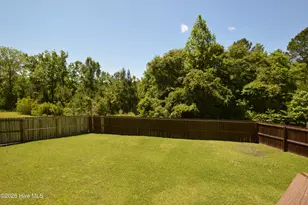 203 Ashton Ct, Sneads Ferry, NC 28460 - Photo 40