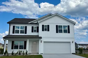 1114 Pampas Grass Dr, Castle Hayne, NC 28429 - Photo 48