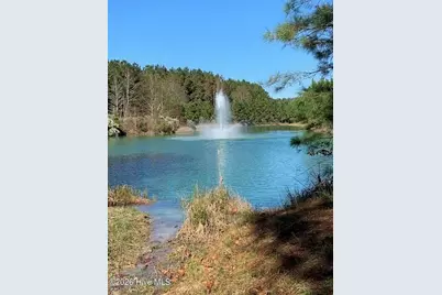 433 Riversound Drive, Edenton, NC 27932 - Photo 4