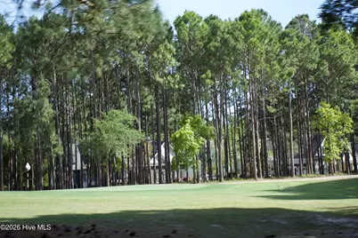 2738 Oak Forest Drive, Southport, NC 28461 - Photo 100