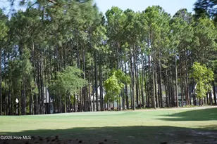 2738 Oak Forest Dr, Southport, NC 28461 - Photo 100