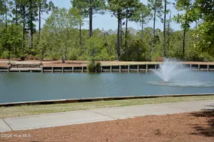 2738 Oak Forest Dr, Southport, NC 28461 - Photo 74