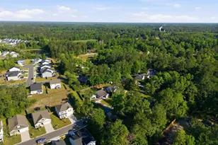 130 Plumtree Ln, Castle Hayne, NC 28429 - Photo 42