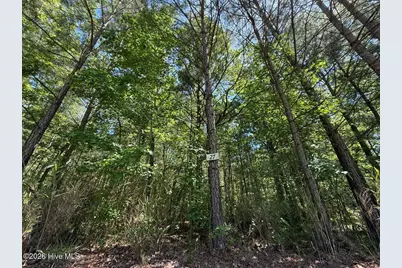 Lot 27 Sunset Point, Belhaven, NC 27810 - Photo 2