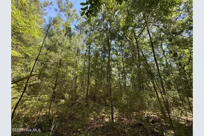 Lot 27 Sunset Point, Belhaven, NC 27810 - Photo 38