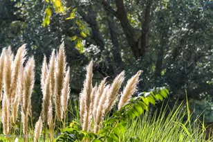 8839 Carenden Ct, Sunset Beach, NC 28468 - Photo 50
