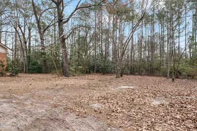 107 Azalea Trail, Salemburg, NC 28385 - Photo 32