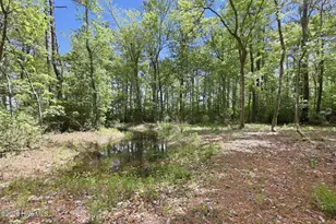 307 Crows Nest Rd, Beaufort, NC 28516 - Photo 38