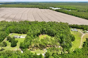 307 Crows Nest Rd, Beaufort, NC 28516 - Photo 46